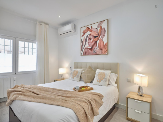 Spain furnished Apartment in Madrid, Madrid