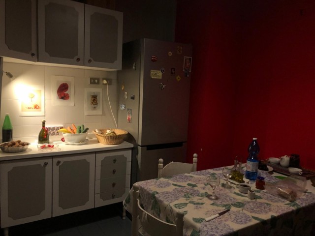 Pisa Room for rent