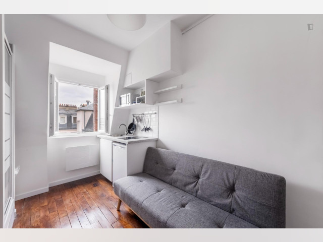 Paris Apartment for rent