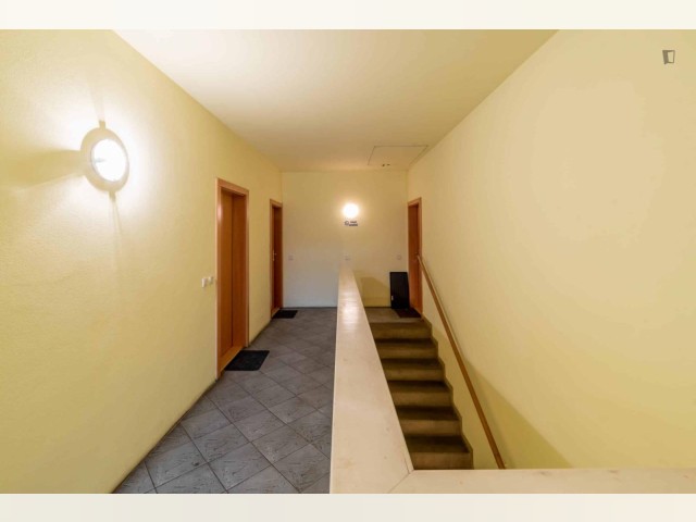 Prague Apartment for rent