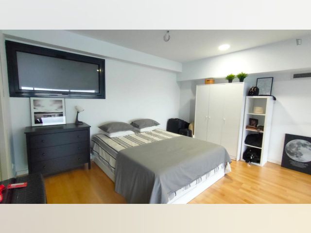Spain furnished Apartment in Madrid, Madrid