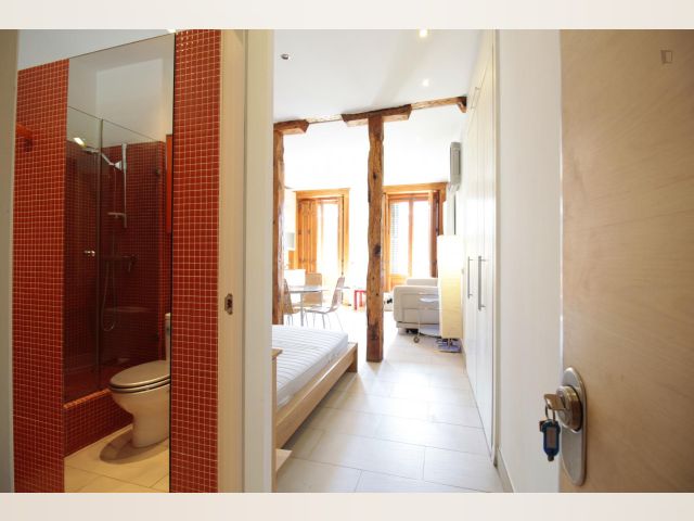Spain furnished Apartment in Madrid, Madrid