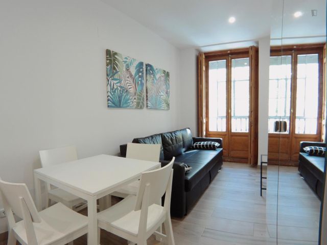 Spain furnished Apartment in Madrid, Madrid