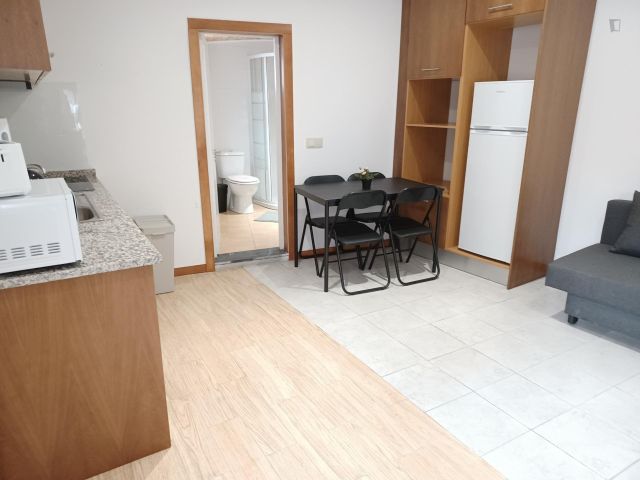 Portugal furnished Apartment in Porto-North Portugal, Porto Oporto