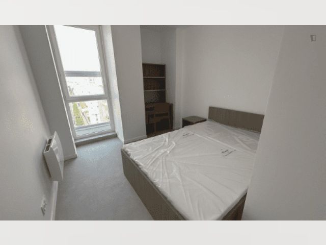 France furnished Room in Paris-Isle-of-France, Paris