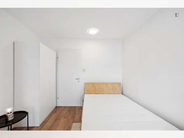 Austria furnished Room in Styria, Graz