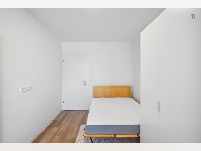 Austria furnished Room in Styria, Graz