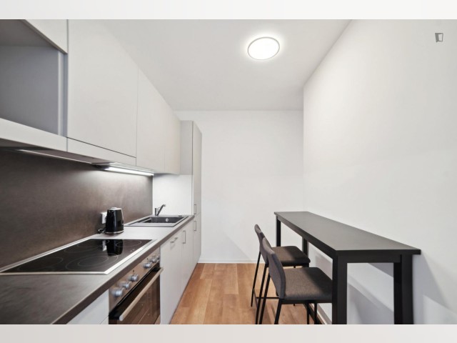 Austria furnished Room in Styria, Graz