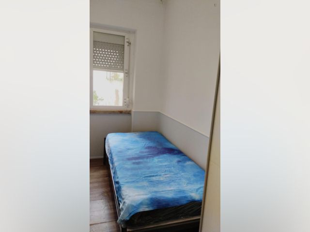 Portugal furnished Room in Lisboa-Tagus Valley, Lisbon