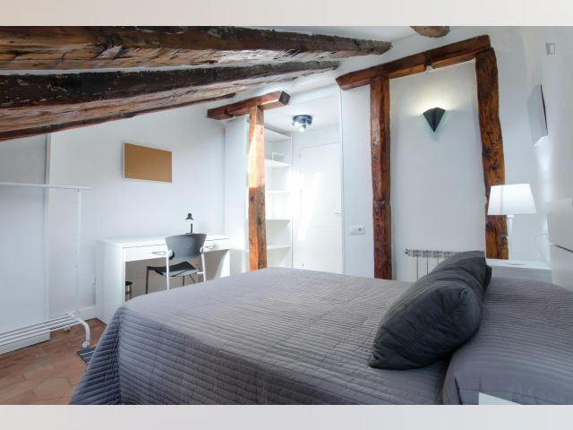 Spain furnished Room in Madrid, Madrid