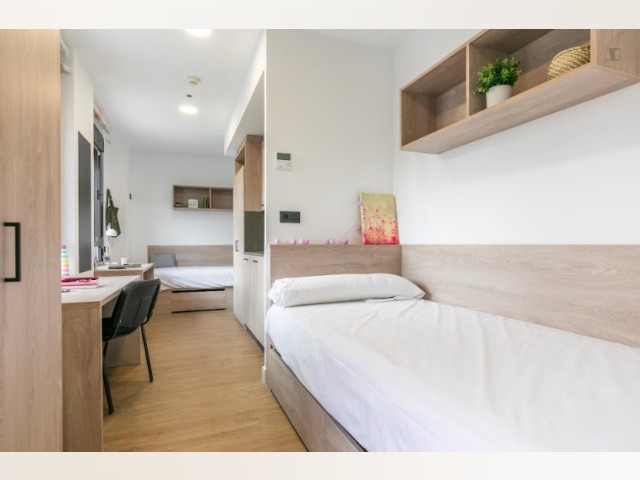 Spain furnished Room in Madrid, Madrid