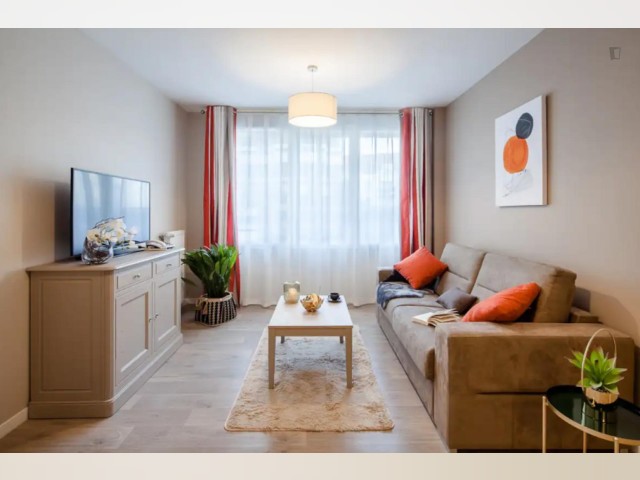 Paris apartment for rent