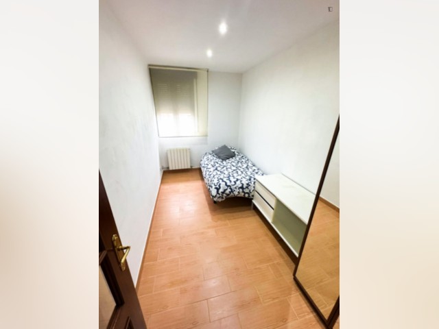 Spain furnished Room in Basque Country, Bilbao