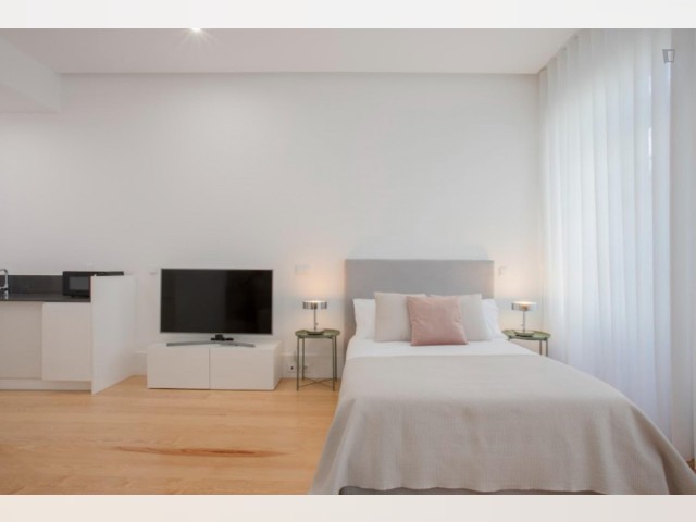 Portugal furnished Apartment in Porto-North Portugal, Porto Oporto