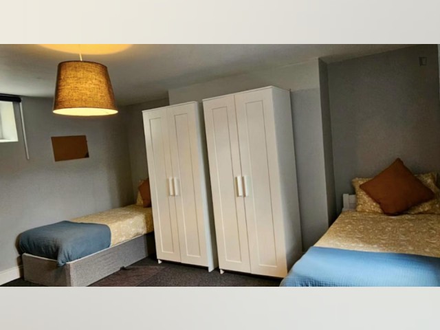 Ireland-South furnished Room in County Dublin, Dublin