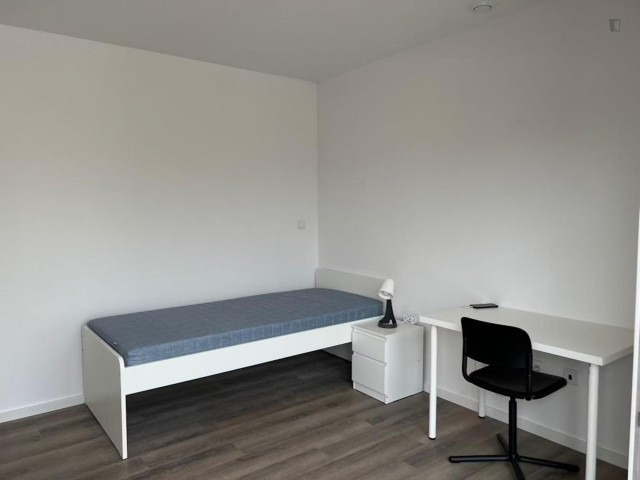 Portugal furnished Room in Porto-North Portugal, Porto Oporto