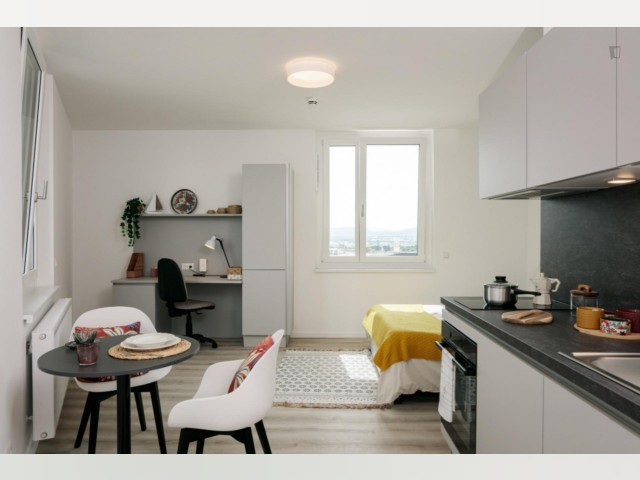 Austria furnished Apartment in Vienna, Vienna