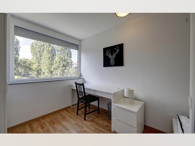 Germany furnished Room in Baden-Wurttemberg, Stuttgart