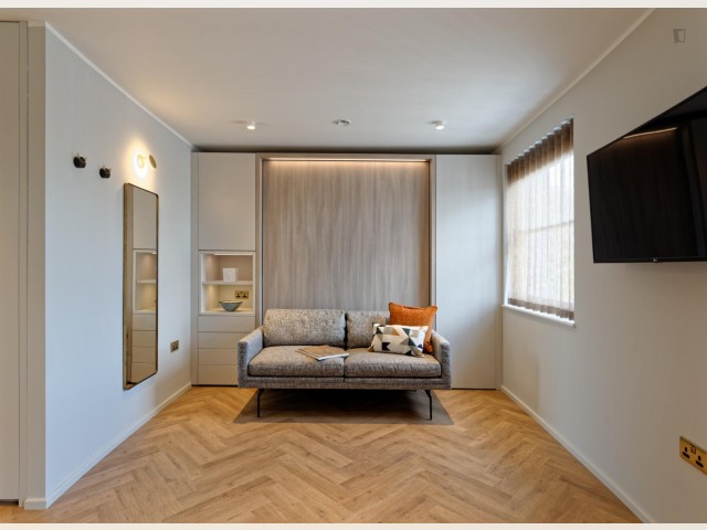 England furnished Apartment in London, London