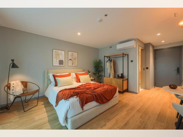 Portugal furnished Apartment in Porto-North Portugal, Porto Oporto