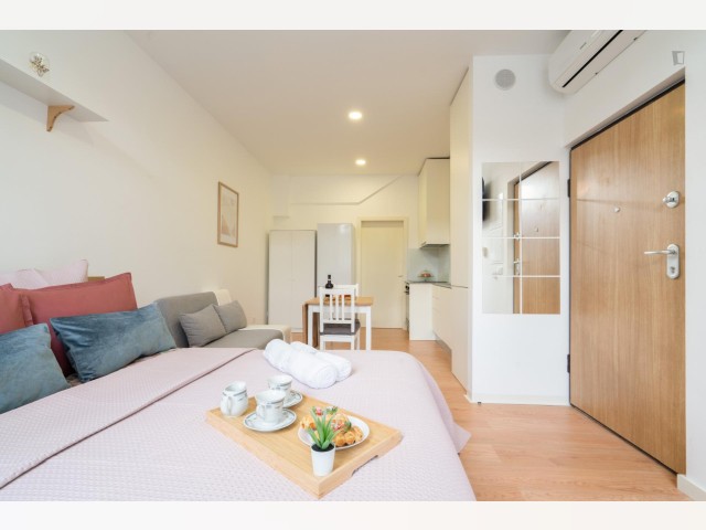 Portugal furnished Apartment in Porto-North Portugal, Porto Oporto