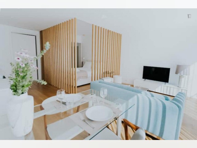 Portugal furnished Apartment in Porto-North Portugal, Porto Oporto