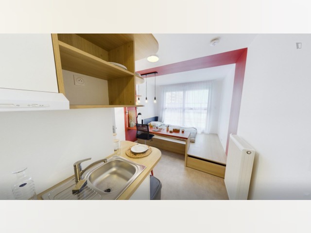France furnished Room in Paris-Isle-of-France, Paris