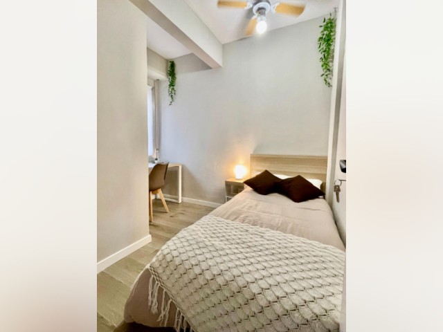Spain furnished Room in Valencia, Alicante