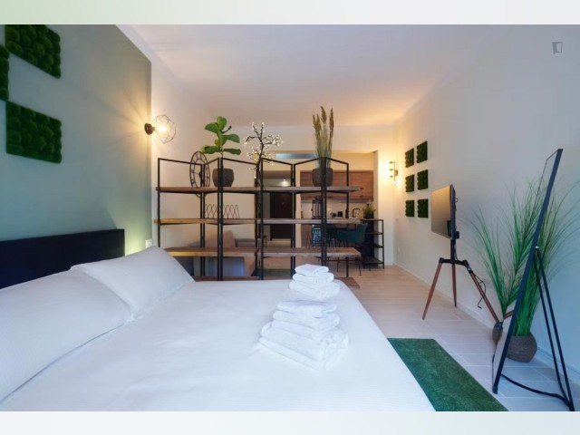 Italy furnished Apartment in Tuscany, Florence