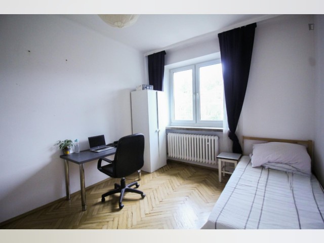 Krakow Room for rent