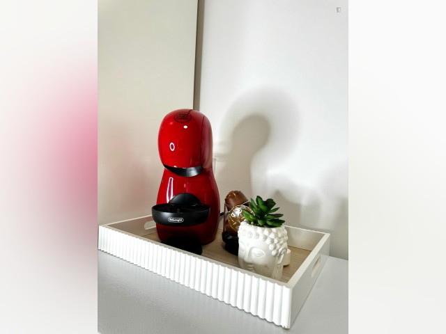 Spain furnished Room in Madrid, Madrid