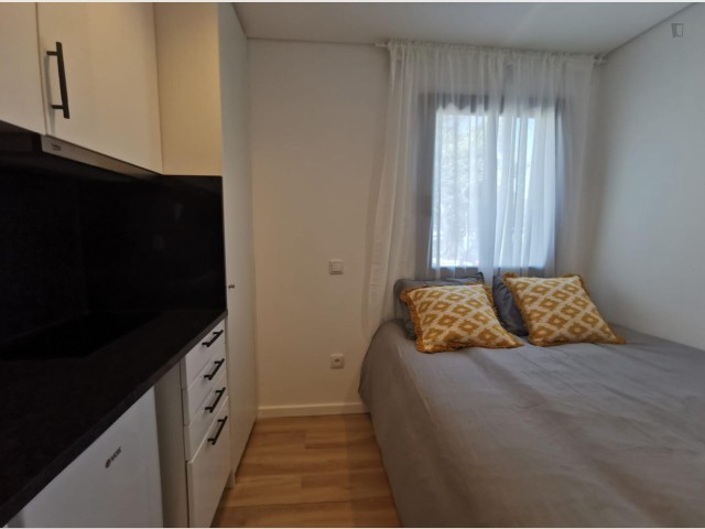 Portugal furnished Apartment in Porto-North Portugal, Porto Oporto