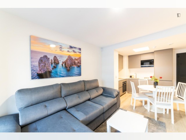 Spain furnished Apartment in Madrid, Madrid