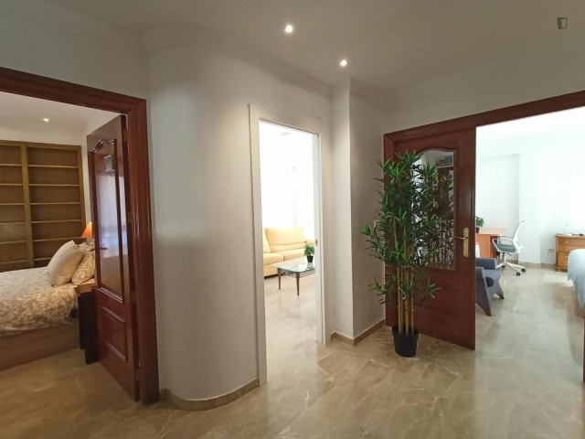 Spain furnished Room in Valencia, Elche