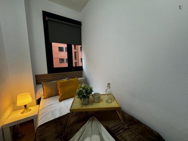 Spain furnished Room in Madrid, Madrid