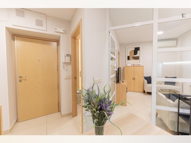 Spain furnished Apartment in Madrid, Madrid