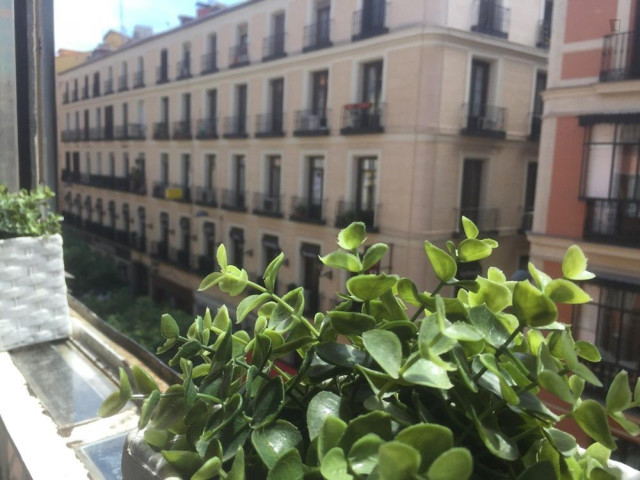 Spain Long term rentals in Madrid, Madrid