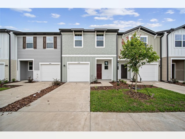 Zephyrhills FL House for rent