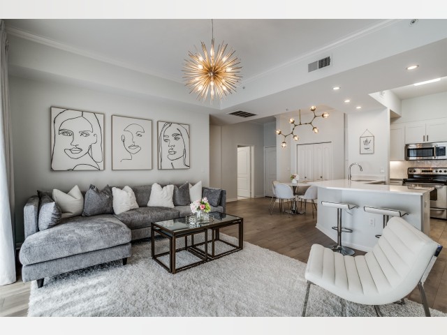Dallas TX House for rent