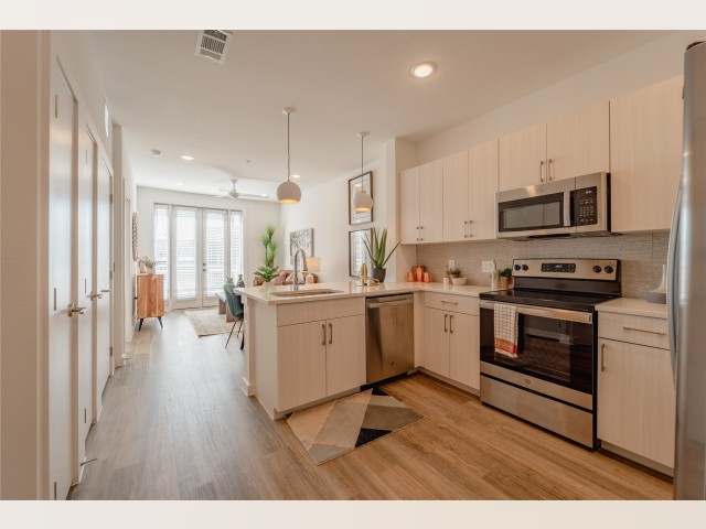 Dallas TX House for rent