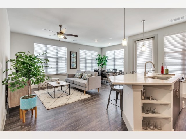 Dallas TX House for rent