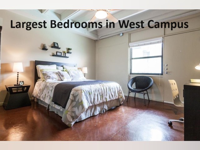 Austin TX House for rent